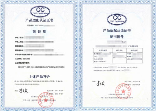 信息技術(shù)產(chǎn)品適配認(rèn)證 構(gòu)建高效安全的技術(shù)生態(tài)體系