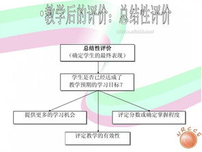 我國中小學信息技術教育的現狀與發展 聚焦網絡技術